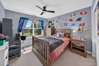 433 Kay Street, Crystal Lake, IL 60014 - Photo 26