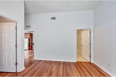 1919 S Michigan Avenue #302, Chicago, IL 60616 - Photo 12
