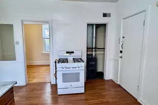 3229 N Wilton Ave, Chicago, IL 60657 - Photo 10