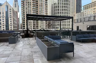 30 E Huron St, Chicago, IL 60611 - Photo 28