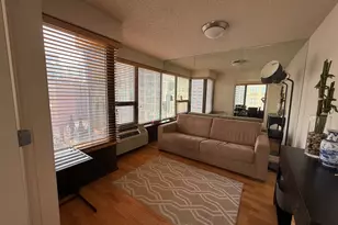 30 E Huron St, Chicago, IL 60611 - Photo 4