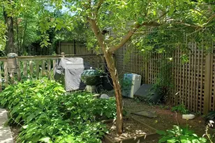 1327 Washington St, Evanston, IL 60202 - Photo 14