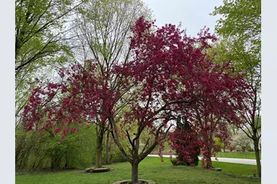 5544 Oak Grove Drive, Long Grove, IL 60047 - Photo 54