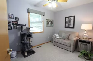 1117 6th Ave, Fulton, IL 61252 - Photo 12