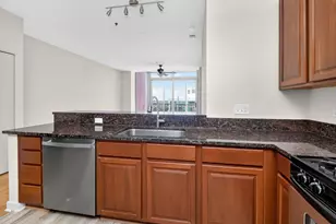 1600 S Prairie Ave, Chicago, IL 60616 - Photo 16