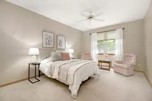 13161 S Carlisle Ct, Plainfield, IL 60544 - Photo 16
