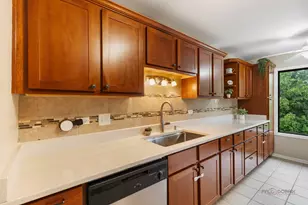 823 E Coach Rd, Palatine, IL 60074 - Photo 14