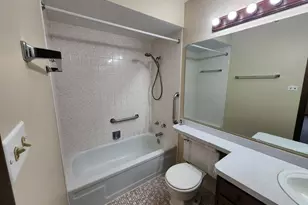 1 Stony Creek Dr, Palos Hills, IL 60465 - Photo 14