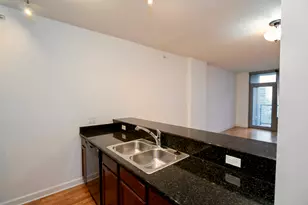 100 E 14th St, Chicago, IL 60605 - Photo 4