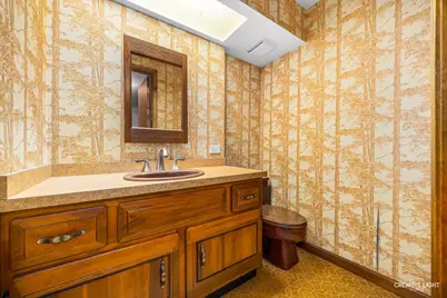 21 Golden Larch Court, Naperville, IL 60540 - Photo 22