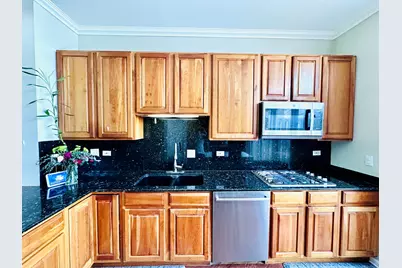 1346 S Indiana Parkway, Chicago, IL 60605 - Photo 6