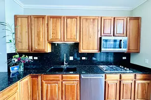 1346 S Indiana Pkwy, Chicago, IL 60605 - Photo 6