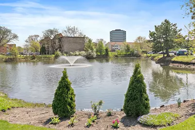 5400 Astor Lane #411, Rolling Meadows, IL 60008 - Photo 24