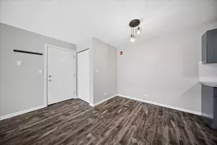9954 S 84th Terrace S, Palos Hills, IL 60465 - Photo 12