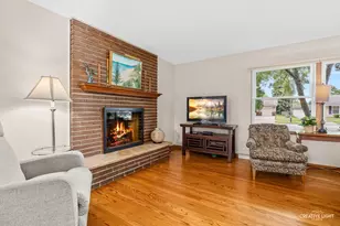 441 Tupelo Ave, Naperville, IL 60540 - Photo 6