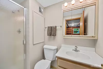 441 Tupelo Avenue, Naperville, IL 60540 - Photo 18