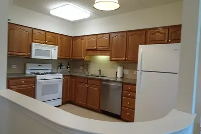 5 W Central Road #313, Mount Prospect, IL 60056 - Photo 4