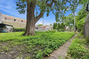 541 W Root St, Chicago, IL 60609 - Photo 18