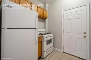 437 E Oakwood Blvd, Chicago, IL 60653 - Photo 4