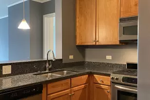 450 E Waterside Dr, Chicago, IL 60601 - Photo 6