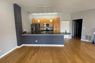 807 W 14th Pl, Chicago, IL 60608 - Photo 8