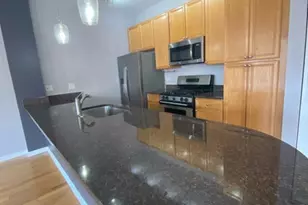 807 W 14th Pl, Chicago, IL 60608 - Photo 10