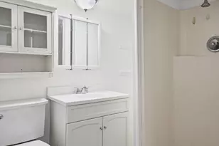 5725 W Giddings St, Chicago, IL 60630 - Photo 50
