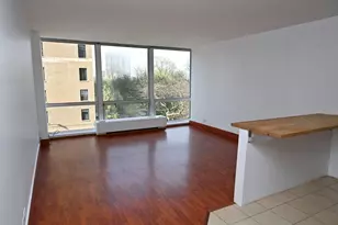 2400 N Lakeview Ave, Chicago, IL 60614 - Photo 6