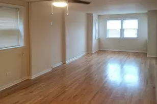 504 W 32nd St, Chicago, IL 60616 - Photo 6