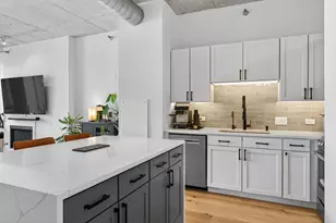 720 N Larrabee St, Chicago, IL 60654 - Photo 10