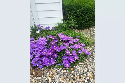606 E Fine Street, Ashkum, IL 60911 - Photo 32