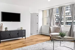 40 E Cedar St, Chicago, IL 60611 - Photo 4