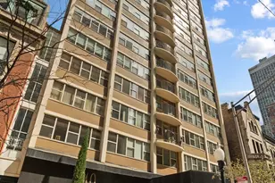 40 E Cedar St, Chicago, IL 60611 - Photo 1