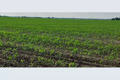 000 Center Road, Rochelle, IL 61068 - Photo 12