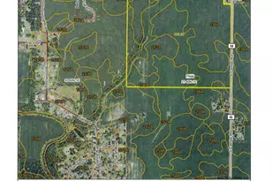 000 Center Rd, Rochelle, IL 61068 - Photo 1