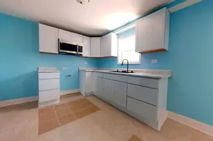 4925 S Justine St, Chicago, IL 60609 - Photo 68