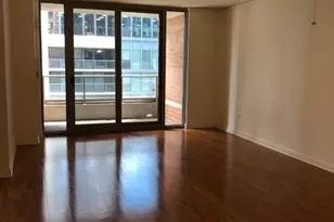 420 E Waterside Dr, Chicago, IL 60601 - Photo 4