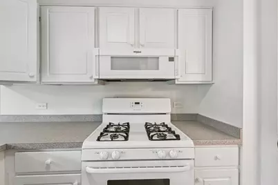15 Cour Deauville, Palos Hills, IL 60465 - Photo 12