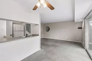 15 Cour Deauville, Palos Hills, IL 60465 - Photo 10