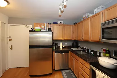 222 E Pearson Street #1405, Chicago, IL 60611 - Photo 10