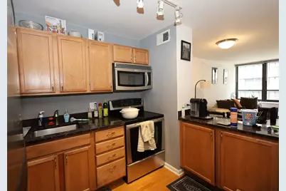 222 E Pearson Street #1405, Chicago, IL 60611 - Photo 8