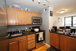222 E Pearson St, Chicago, IL 60611 - Photo 8