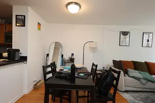 222 E Pearson St, Chicago, IL 60611 - Photo 6