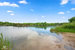 46 Lakeshore Dr, Wilmington, IL 60481 - Photo 64