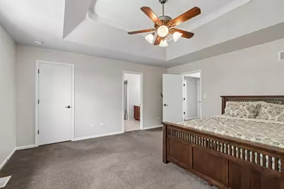 2155 Arthurs Pass Street, New Lenox, IL 60451 - Photo 34