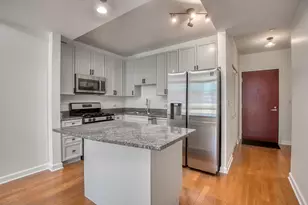 1250 S Michigan Ave, Chicago, IL 60605 - Photo 6