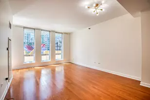 1250 S Michigan Ave, Chicago, IL 60605 - Photo 10