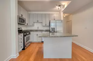 1250 S Michigan Ave, Chicago, IL 60605 - Photo 2