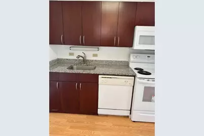 601 E 32nd Street #203, Chicago, IL 60616 - Photo 8