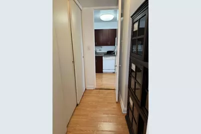 601 E 32nd Street #203, Chicago, IL 60616 - Photo 10